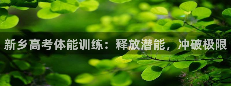 欧陆娱乐挂机项目有哪些：新乡高考体能训练：释放潜能，