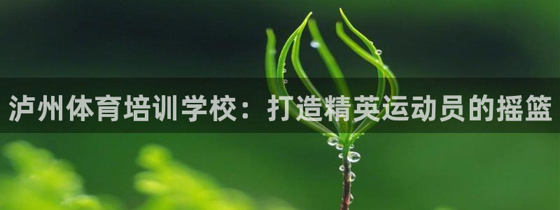 欧陆注册码：泸州体育培训学校：打造精英运动员的摇篮